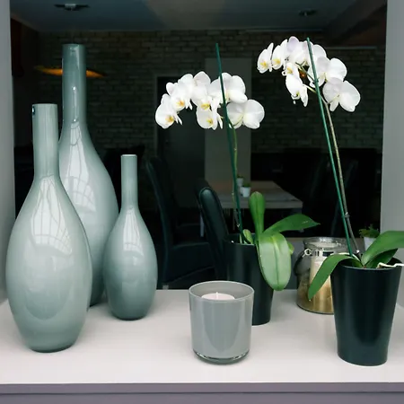 Moby Dick By Wp Hotell Blankenberge